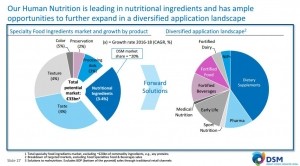 dsm business nutrition