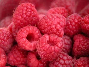 raspberry ketones fruit