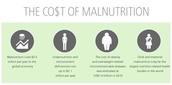 cost of malnutrition