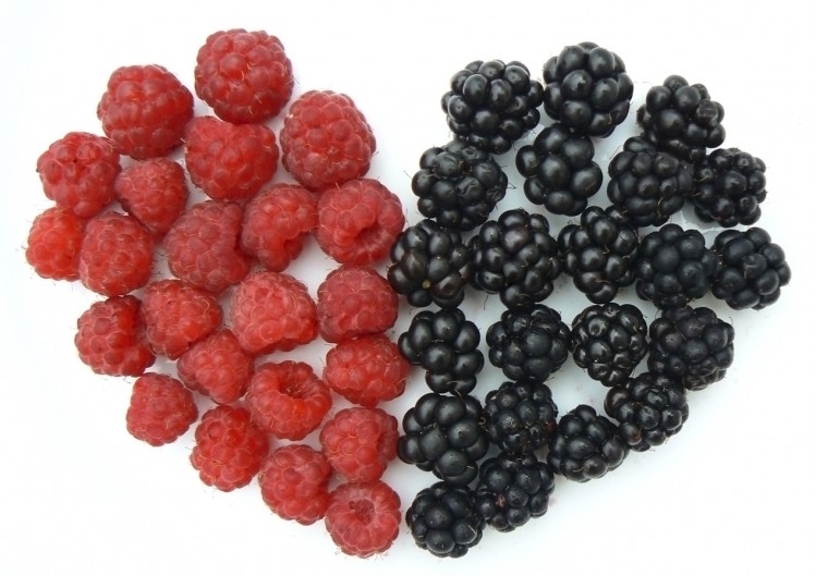 Botanicals like berries can reduce cardiovascular stress events, a Moscow congress has been told