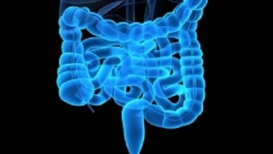Preserving the delicate balance between the gut microbiota and the host is a life long task in order to maintain good health. © iStock.com