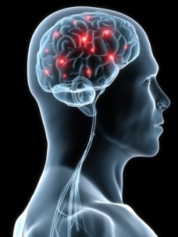 The new review suggests DHA, uridine, and choline may improve the cognitive functions.