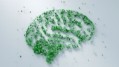 Microphyt builds science for Brainphyt microalgae extract