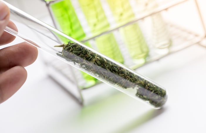 EFSA-says-CBD-safety-data-cannot-currently-be-established.png