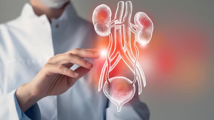 Cranberry outperforms D-mannose in urinary tract health trial   