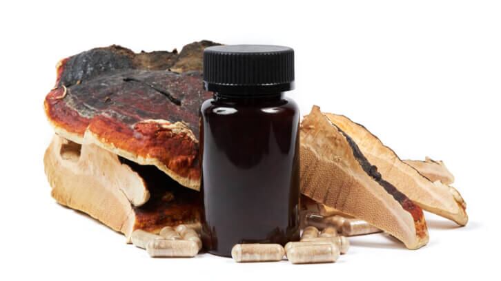 Fungi-Perfecti-responds-to-puzzling-opinion-in-Nammex-petition.jpg