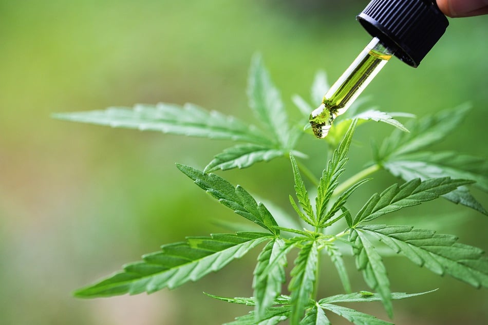 CBD-in-Latin-America-Which-countries-will-embrace-it.jpg