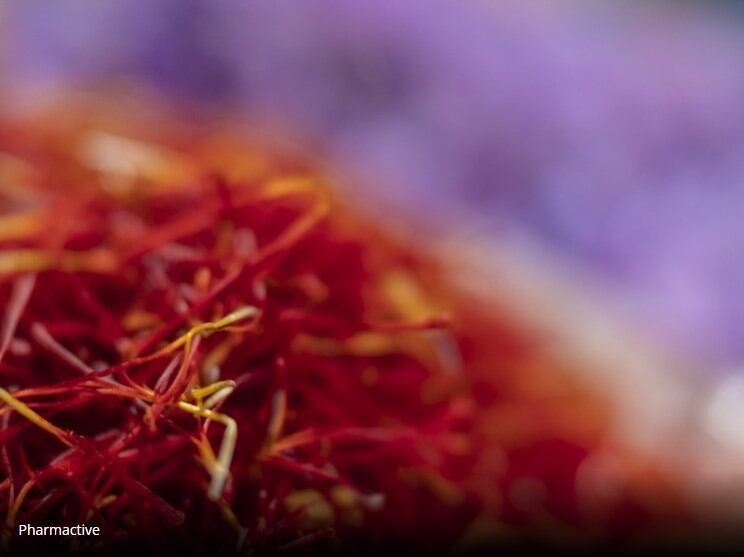 Pharmactive study hails saffron’s stress and anxiety-reducing qualities 