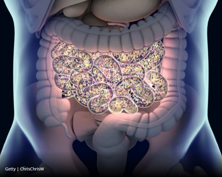 Maat Pharma resumes faecal collection to develop microbiome-based therapies 