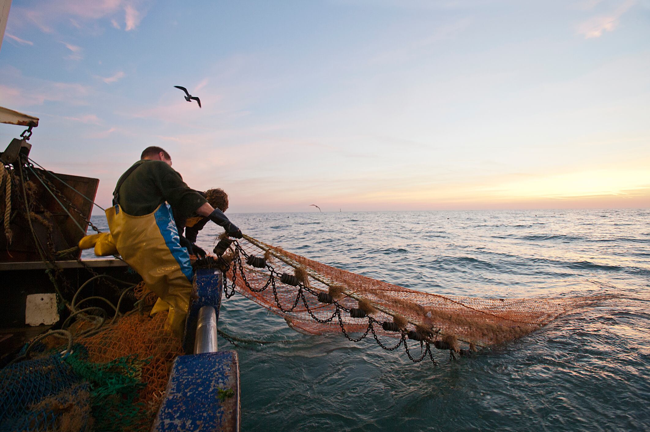 Omega-3-sustainability-Pressing-environmental-political-and-social-issues-driving-change-in-the-industry.jpg