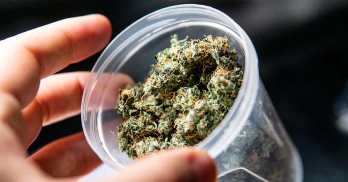 In aftermath of FDA GRAS shift, FloraWorks continues regulatory path for cannabinol