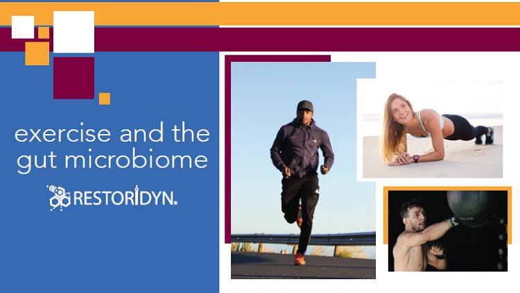 Restoridyn-R-Discover-the-Benefits-of-Exercise-Recovery-Gut-Microbiome-Support.png