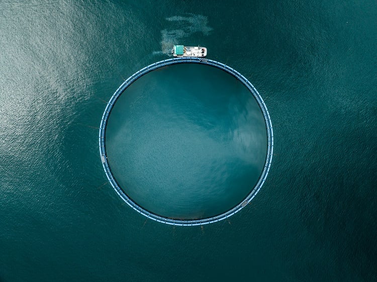 How can fisheries withstand climate change? The many aspects of climate resilience 