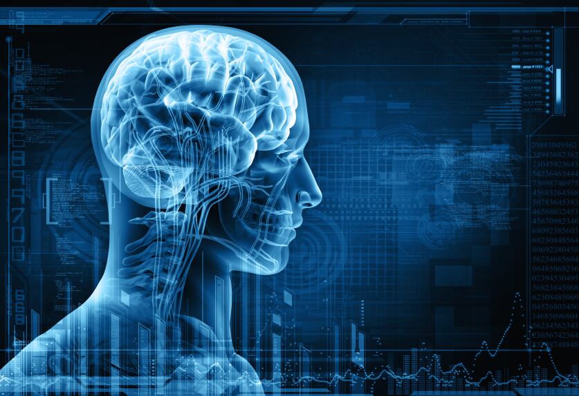 Mibelle boosts supplements range with MCT-based 'brain enhancer'