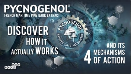 Why-does-Pycnogenol-R-offer-such-a-wide-range-of-health-benefits-Its-mechanisms-of-action-explained.jpg
