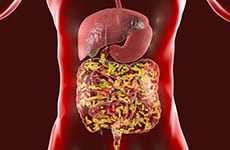 The Future of the Microbiome