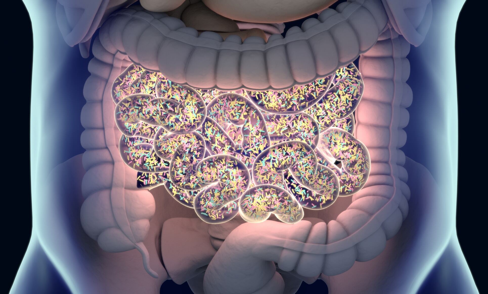 Gut microbiome study uncovers strain-level geographic differences and disease links
