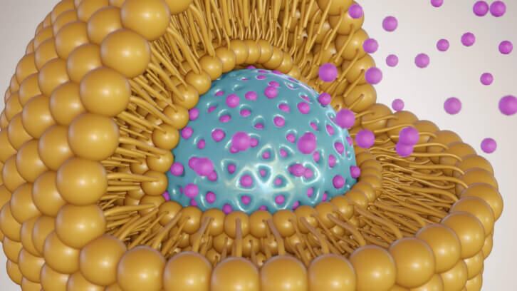 Study explores pharmacokinetics of liposomal and non-liposomal multivitamins