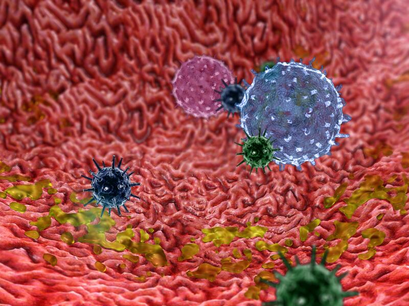 gastrointestinal-tract-germs-bacteria.jpg