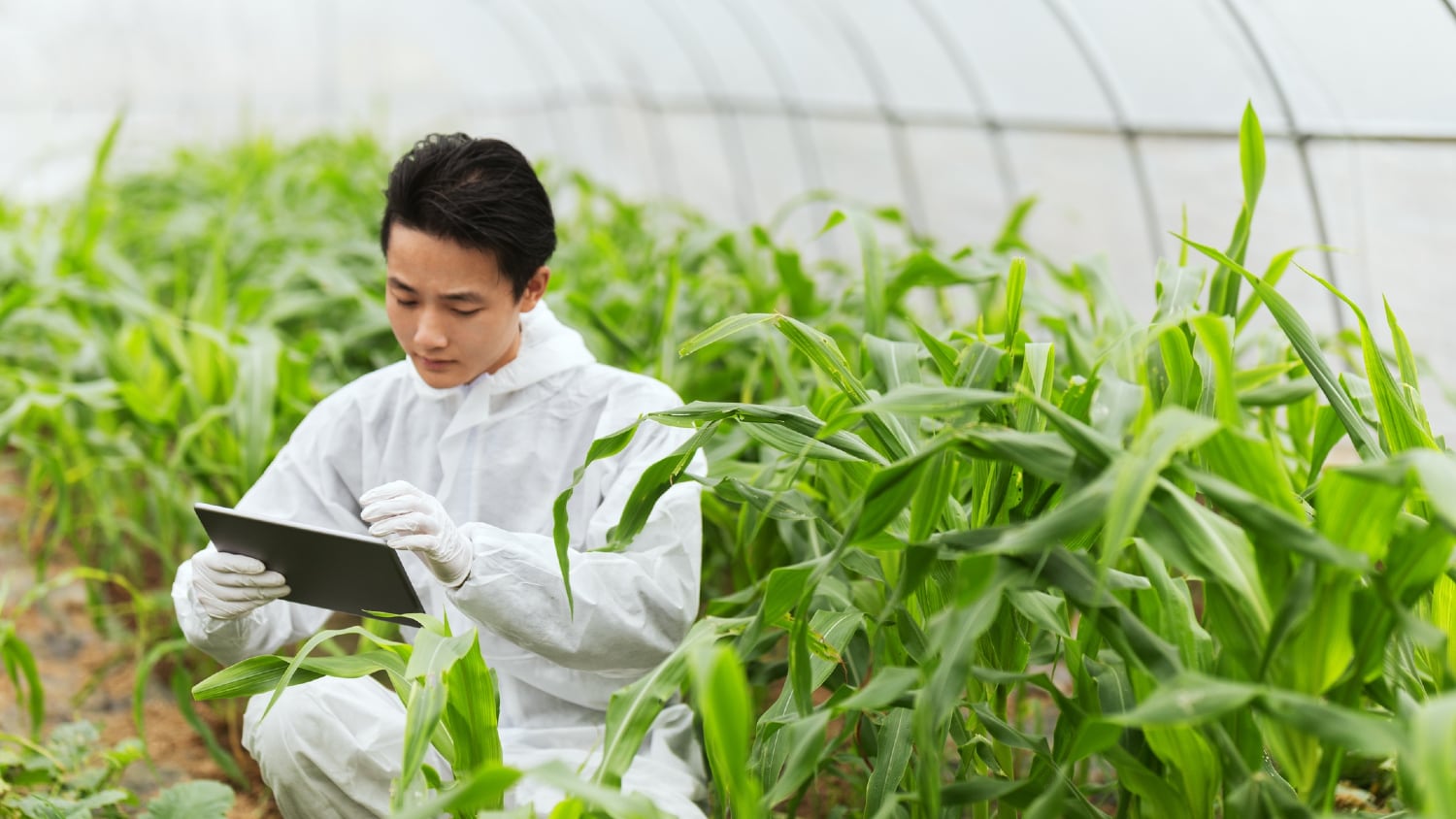 Two goals, 10 action plans: China Communist Party and state council outline first joint food safety plans