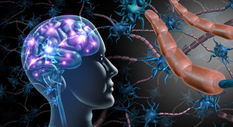 'First of its kind' study indicates prebiotic can reduce anxiety 
