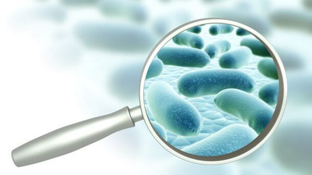 microbiome-probiotics-C-iStock-frentusha.jpg
