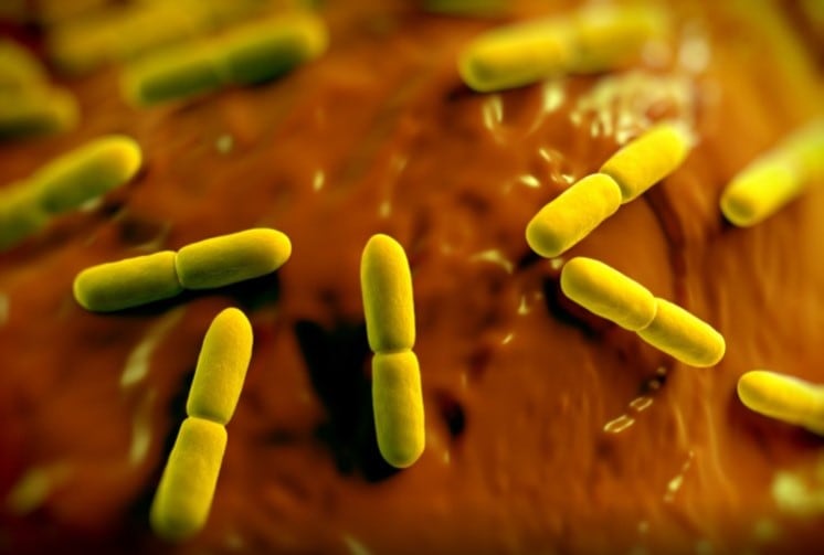 DuPont's microbiome interests take on cancer focus with Rutgers alliance 