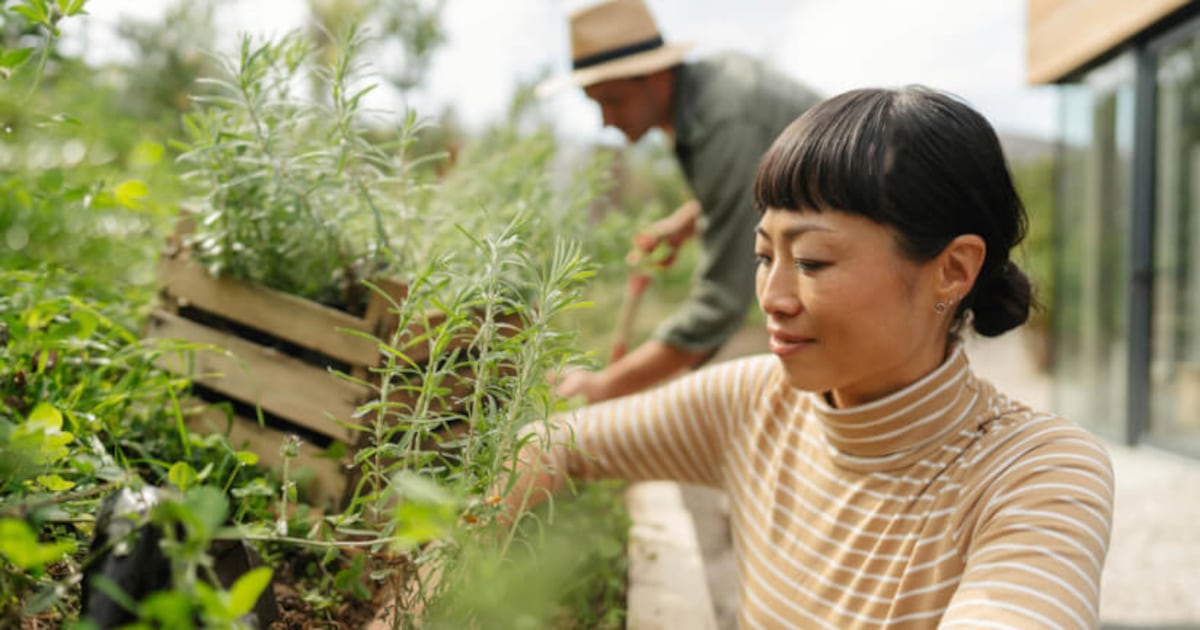 From conversation to action: A new toolkit makes the case for herbs