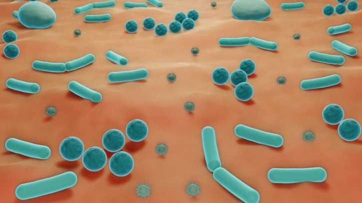 Vaginal-microbiome-research-shows-how-little-we-know-about-femcare.jpg