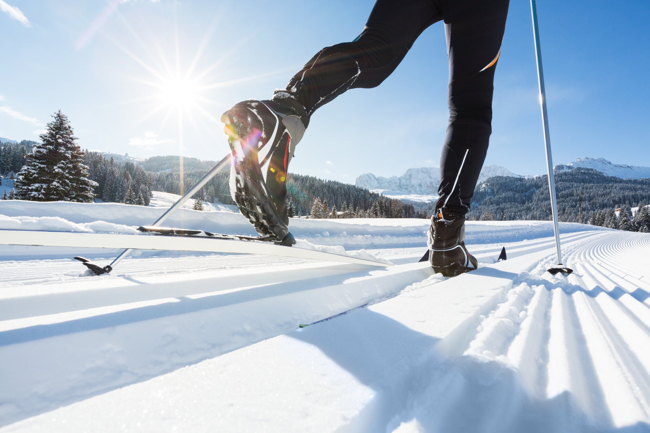 Study in cross-country skiers suggests probiotic alongside training could improve performance 