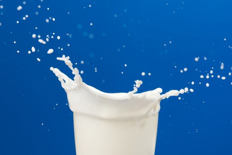 Danone-supercharges-precision-fermentation-R-D-in-new-biotech-accelerator.jpg