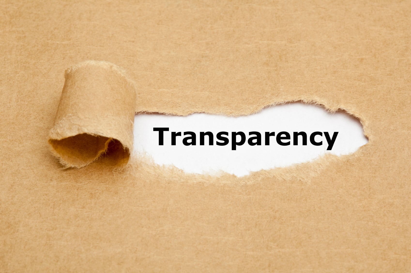 Transparency-C-IvelinRadkov.jpg