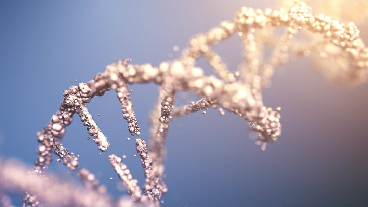 Small amount, big effects: A dose of fucoidan can affect gene expression, says Australian study