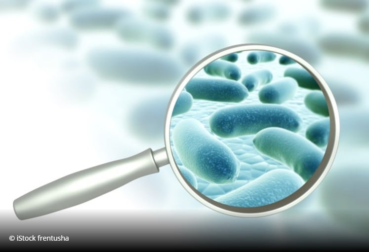 Chr. Hansen strengthens female focused-probiotic interests with HSO purchase