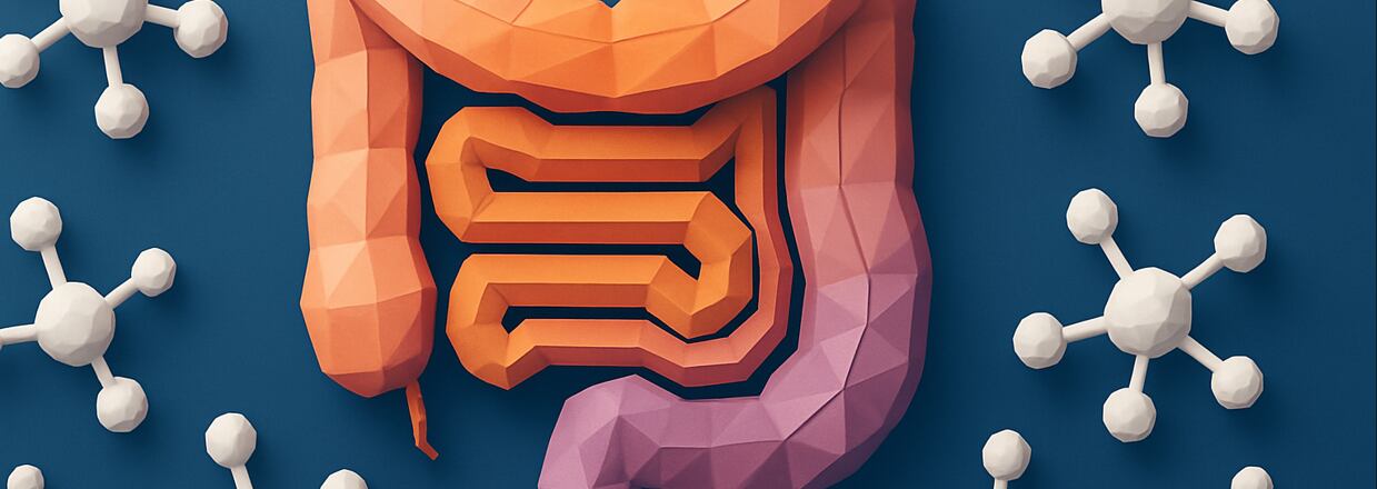 How 3’-Sialyllactose could hold the key to gut barrier integrity