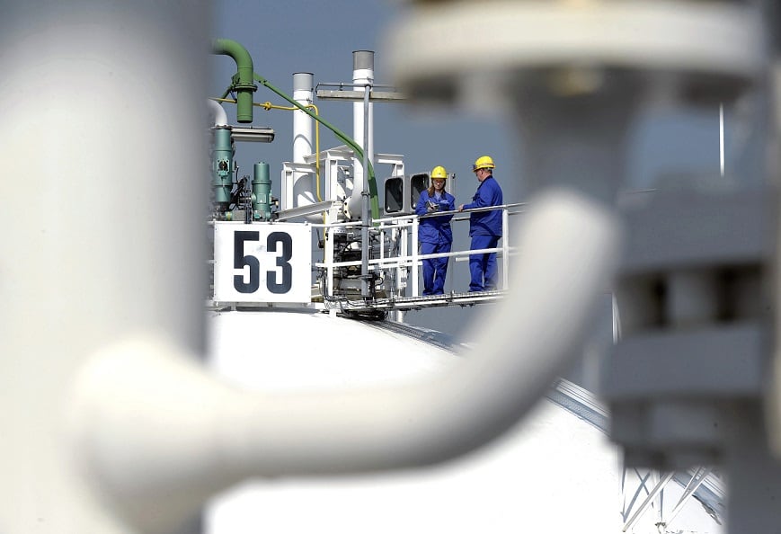 BASF further delays vitamin and carotenoid production restart