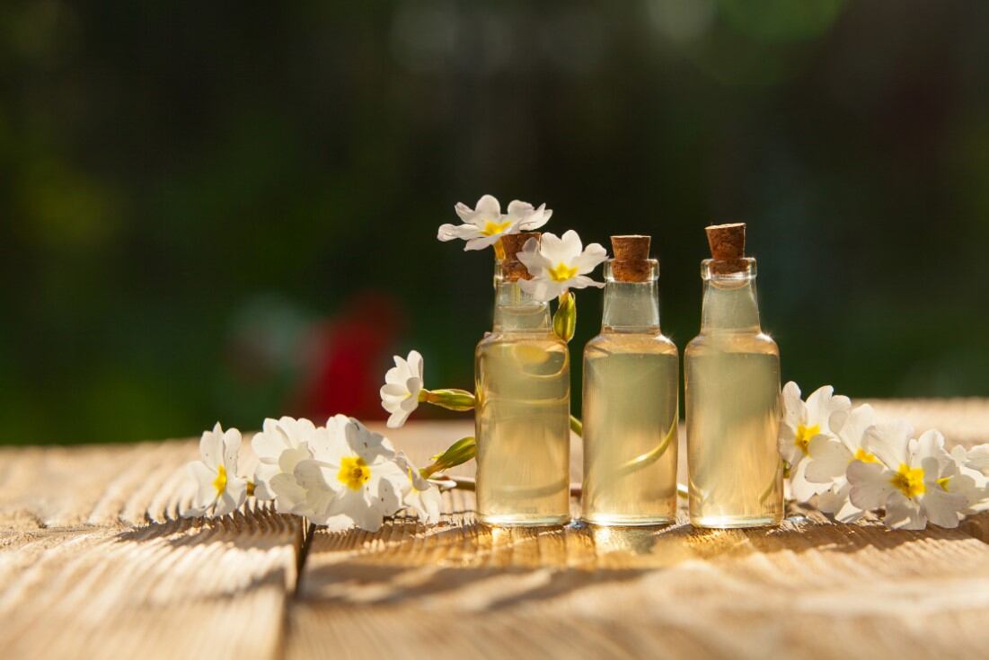 Primrose-oil-may-help-ease-side-effects-of-drug-treatment-in-acne-patients.jpg