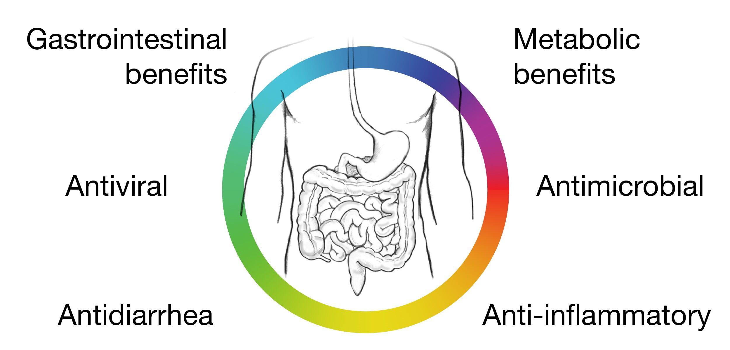 Postbiotics-Fig1.jpg