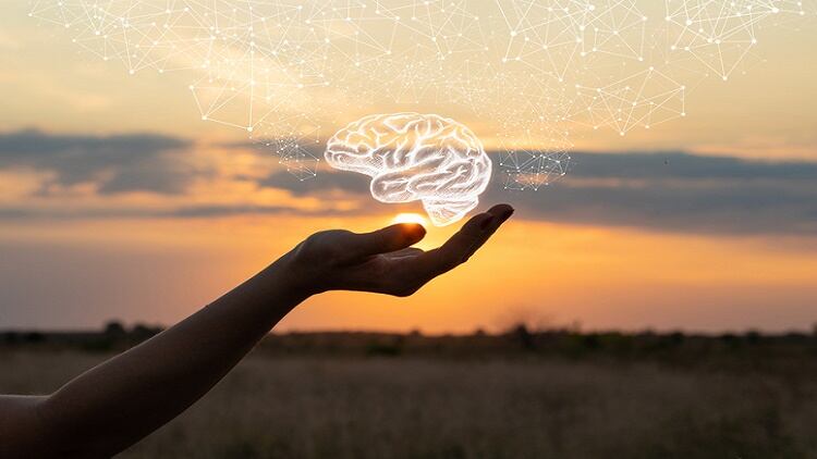 BRAND’S Suntory RCT: Chicken extract supplement improves verbal and spatial working memory