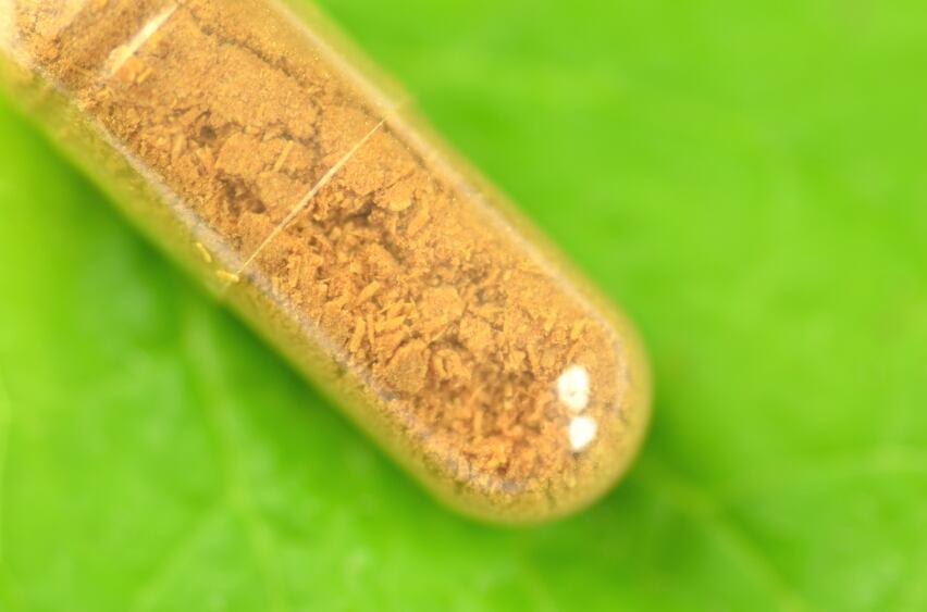 herbal-botanical-melissa.jpg