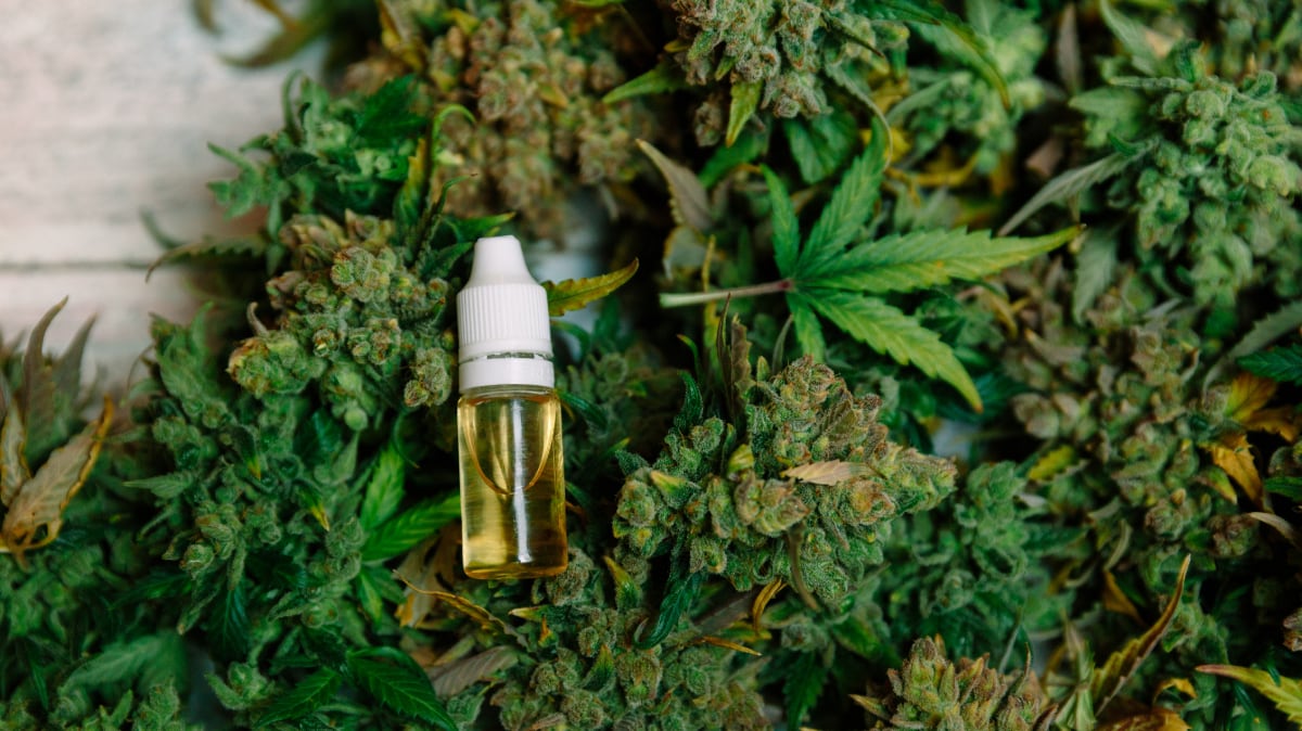 Marijuana cultivation in India permitted for research and medicine, but nutraceuticals remain left out