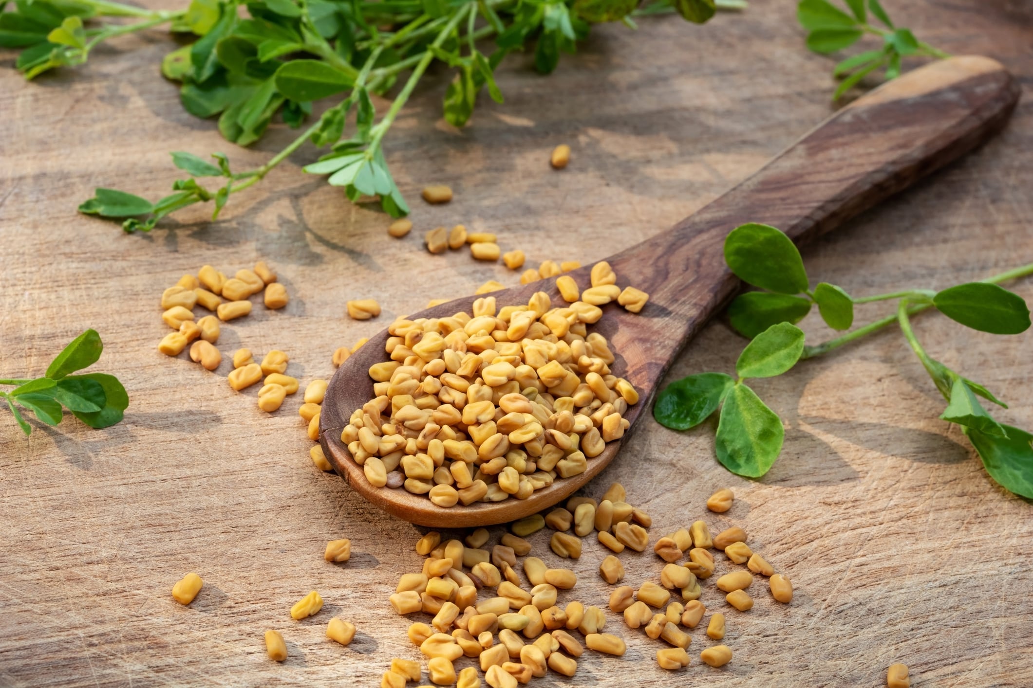 Study-Gencor-fenugreek-supplement-Libifem-improves-strength-and-body-composition-in-female-athletes.jpg