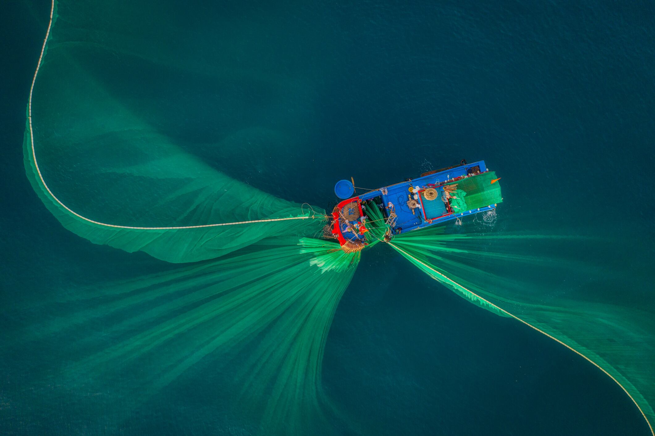 Peruvian-anchovy-fishing-quota-signals-rebound-for-omega-3-industry.jpg