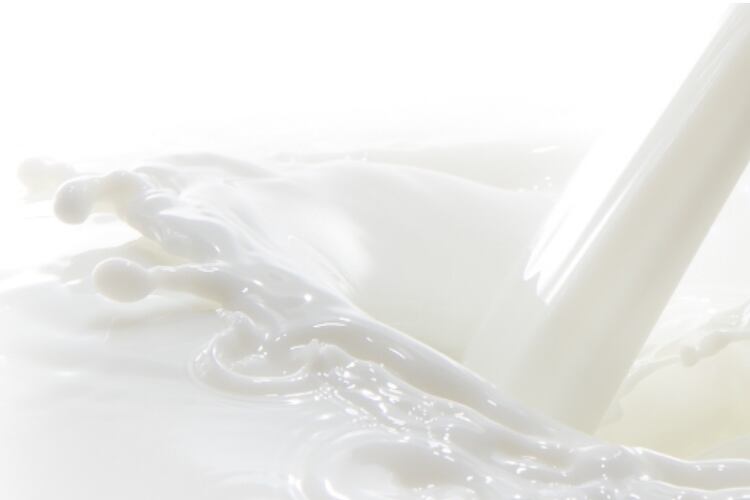 Patent filed on extraction of cholesterol from milk fat