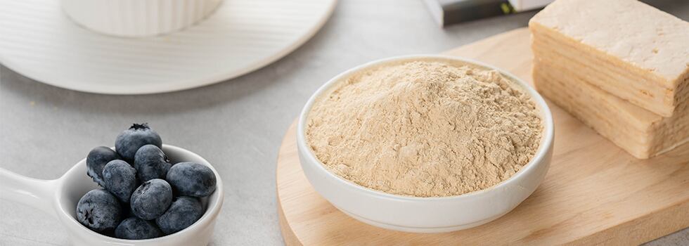 Microbial-proteins-and-cultivation-of-nutritional-yeast-to-meet-protein-demand.jpg