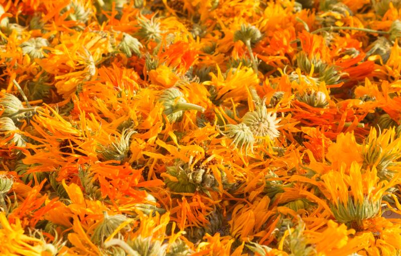 Cohort finds lutein and zeaxanthin reduce effects of AMD