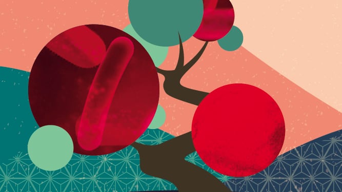 Can postbiotics be used in synergy with vitamin C?
