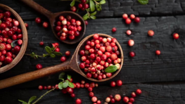 Cranberry-intakes-may-regulate-lipid-and-glucose-profiles-Review.jpg