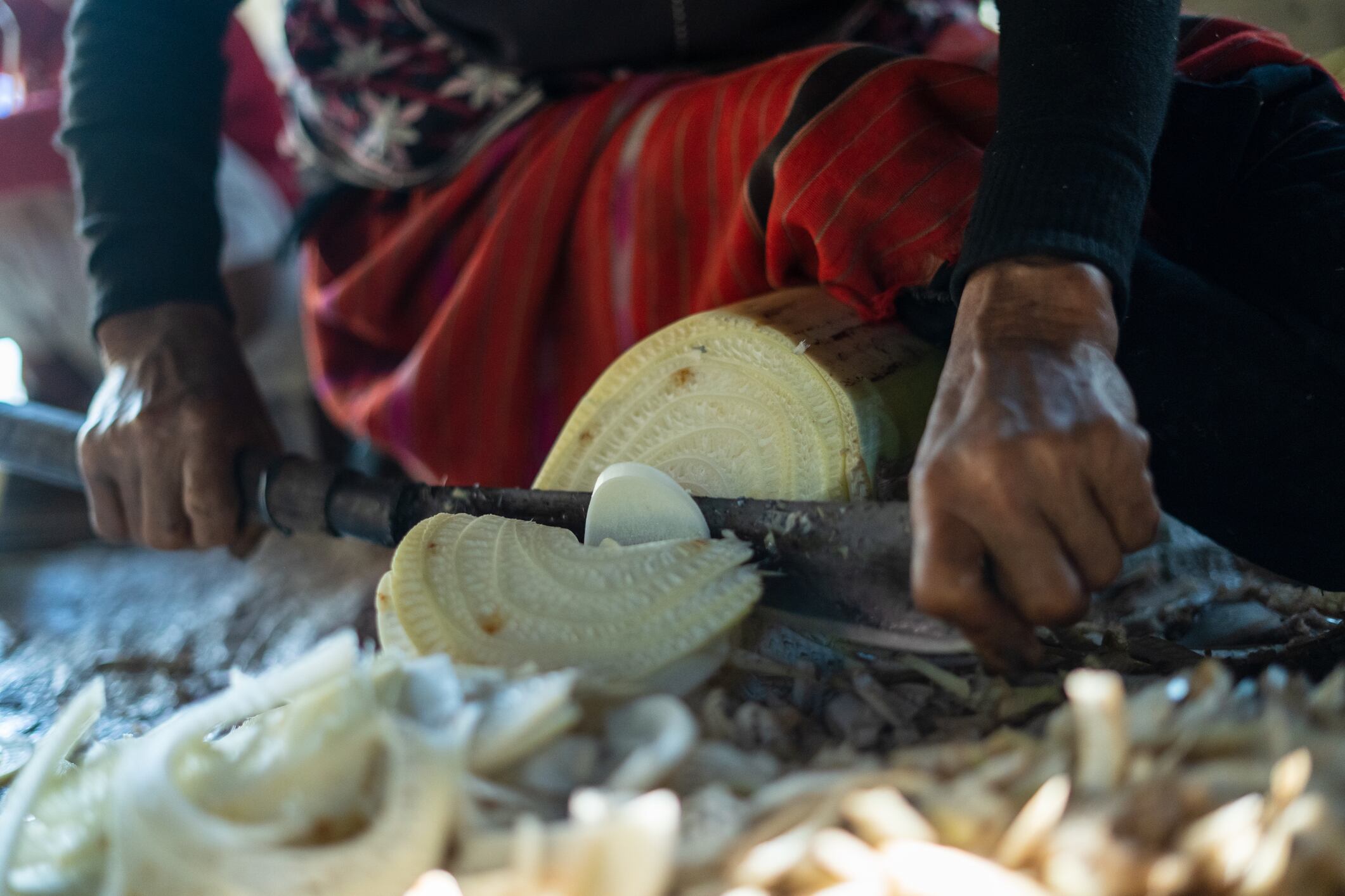Old Hmong Hill Tribe Woman Cutting Organic Food with Knife Chiang Mai, Thailand