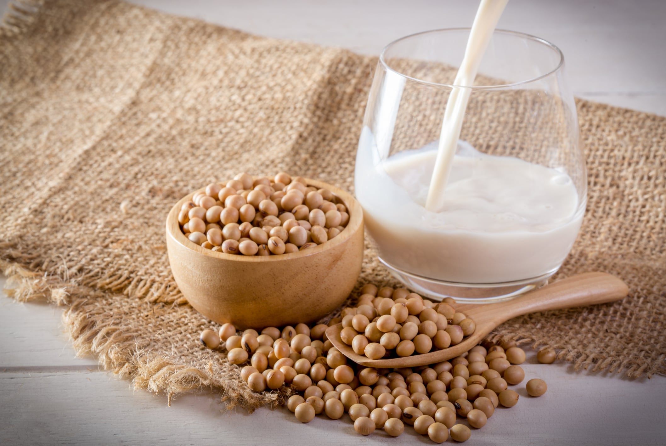 Fermented soy helps lower cholesterol in RCT